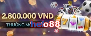 helo88
